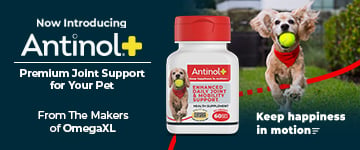Now Introducing Antinol Plus, Premium joint support for your pet. Keep happiness in motion, From the makers of OmegaXL